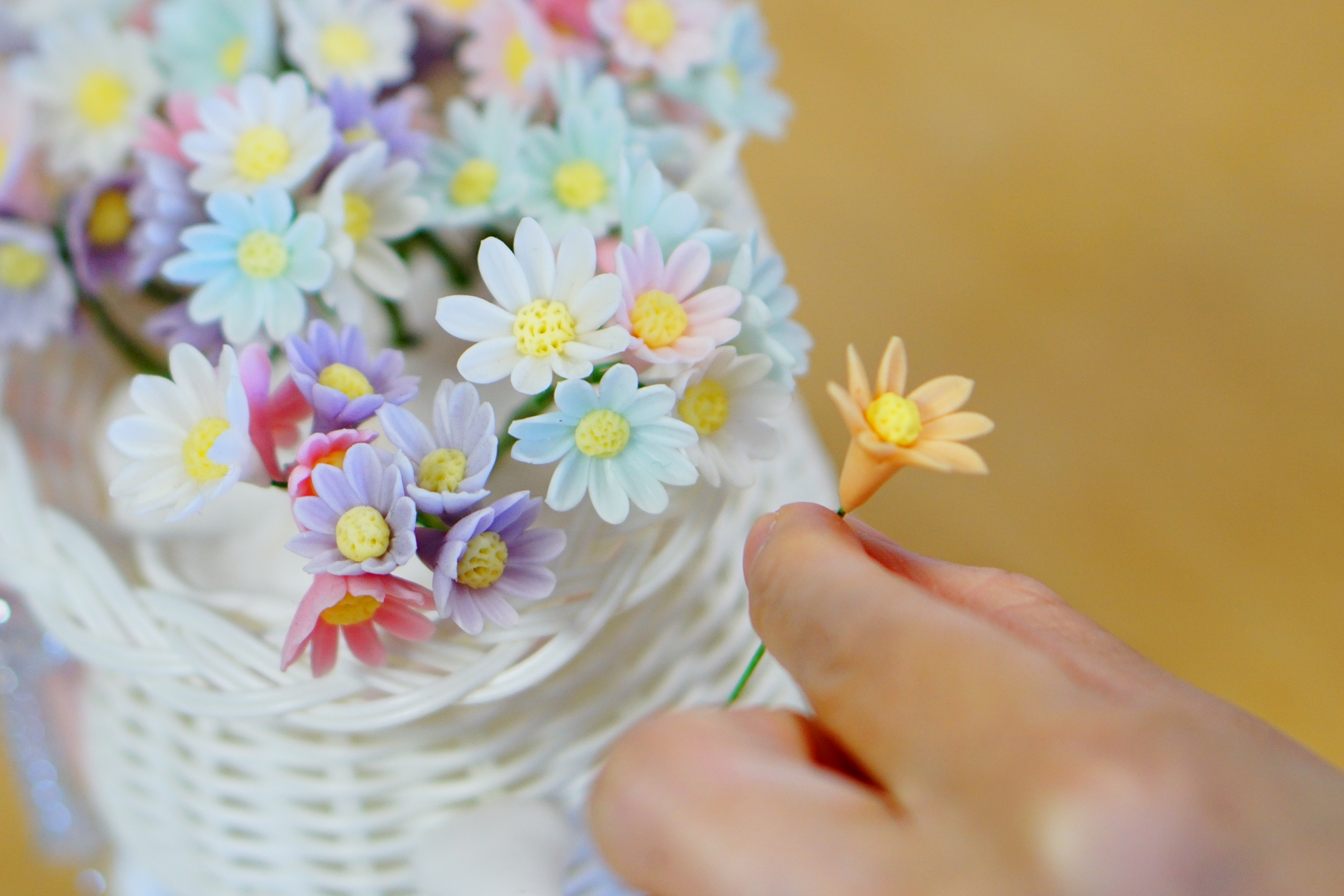 Blooming Creations